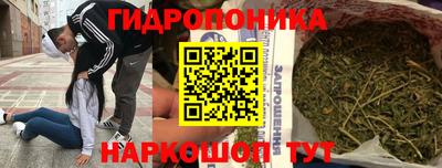 apvp Новодвинск