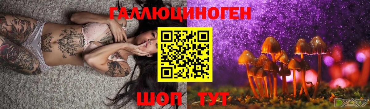 Галлюциногенные грибы мицелий Видное